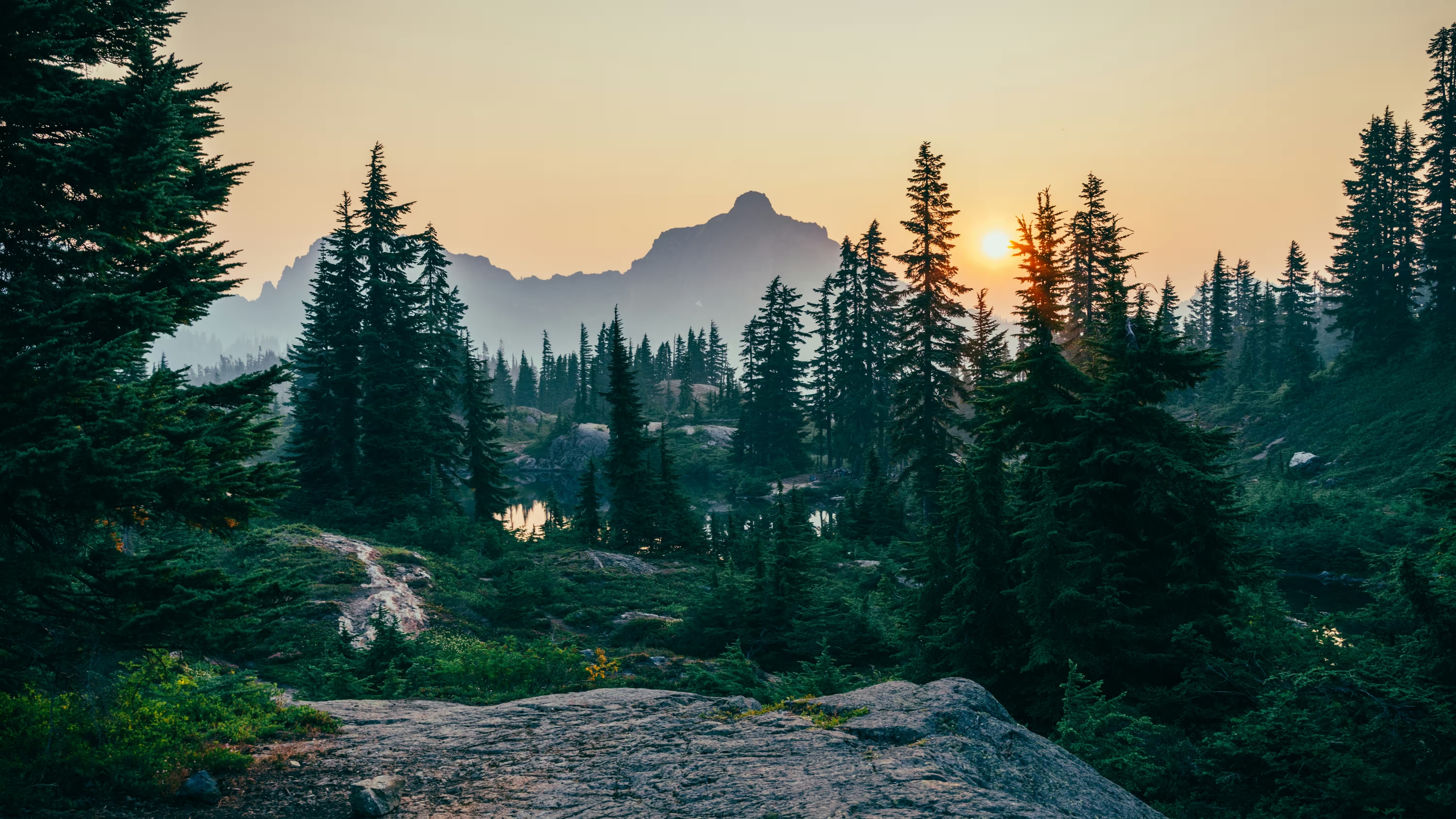 Image d'accueil avec paysage de montagne