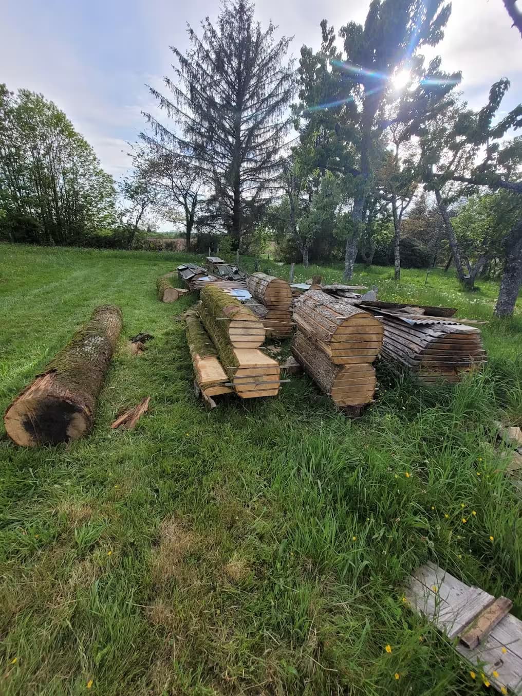 Plusieurs plots de sciage entreposés composés de plusieurs types de bois